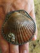 Seashell Double Knuckle Ring