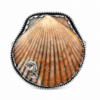Hand Forged Sterling Silver Authentic Seashell Double Knuckle Ring