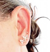 Hand Cast Butterfly Earring Studs