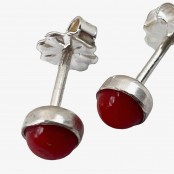Red Coral Earring Studs